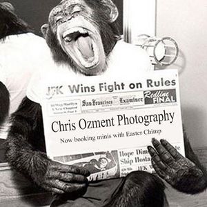 Meet your Posher, Chris